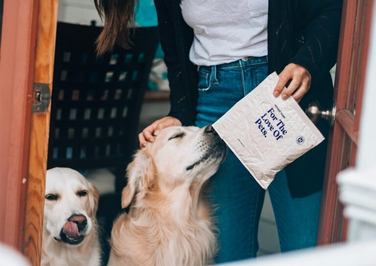 Hund neben einer Lieferung mit Tierfutter